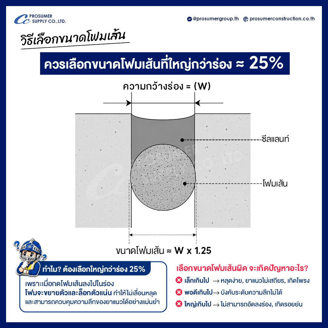 วิธีเลือกขนาดโฟมเส้น วรเลือกโฟมเส้นที่มีขนาดใหญ่กว่าร่อง 25%